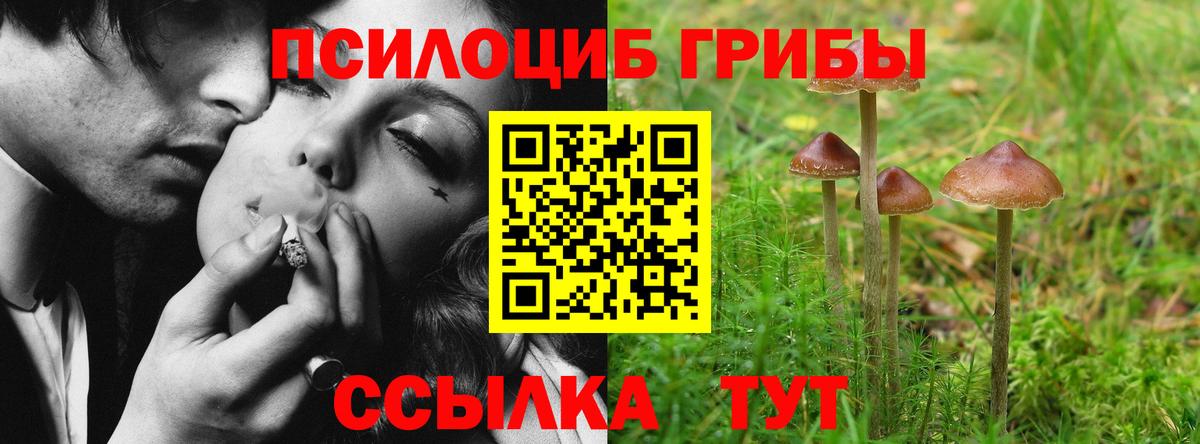 Псилоцибиновые грибы GOLDEN TEACHER  Галлюциногенные грибы MAGIC MUSHROOMS  Вход с VPN  Кимовск 