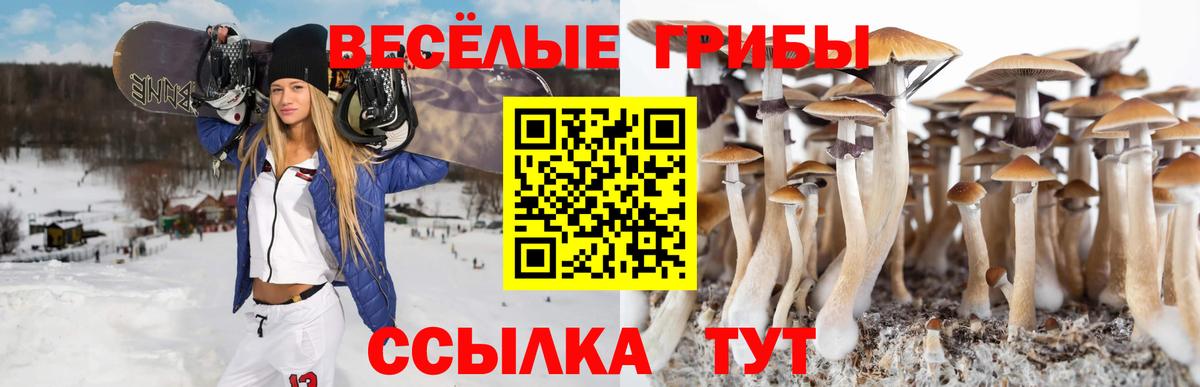 Галлюциногенные грибы GOLDEN TEACHER Кимовск