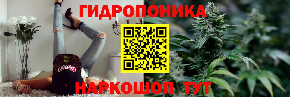 Кимовск  Канабис MAZAR  Вход с VPN  Бошки марихуана планчик  Каннабис AK-47 